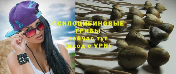стаф Балабаново